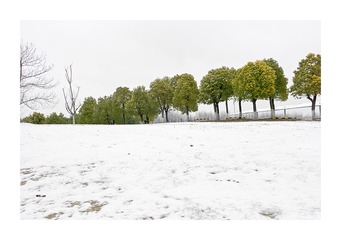 L1000405