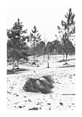 L1000476