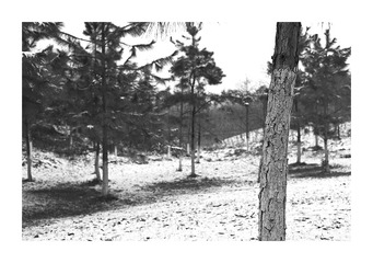 L10004680