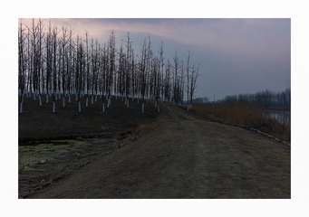 L1000988