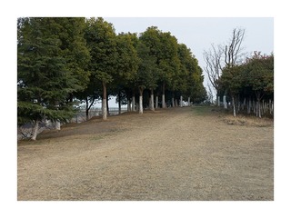 L1001016