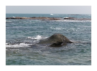 L1003581