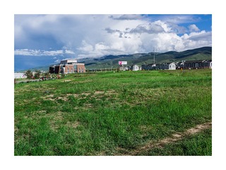 L1004173
