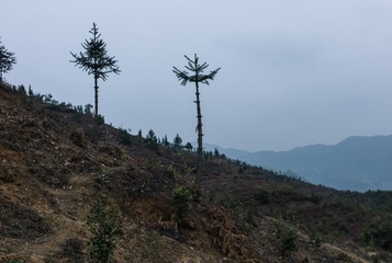 L1004985