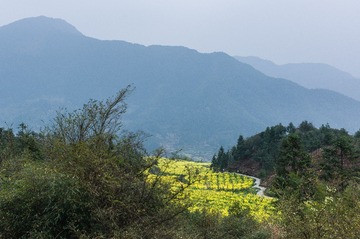 L1004990