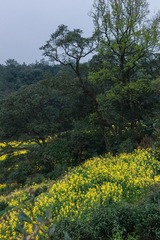 L1005000