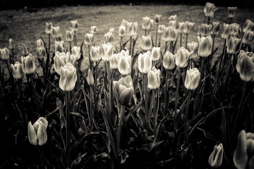 L1005021