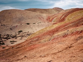 L1004684