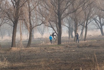 DSC_0487.jpg