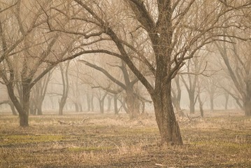 DSC_0502.jpg
