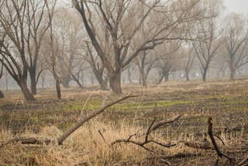 DSC_0511.jpg
