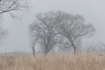 DSC_0687-2.jpg