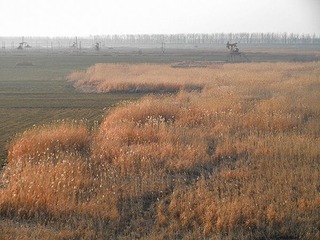 P1270015.jpg