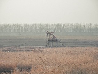 P1270029.jpg