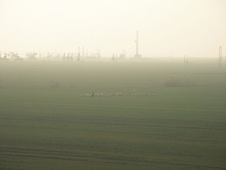 P1270032.jpg