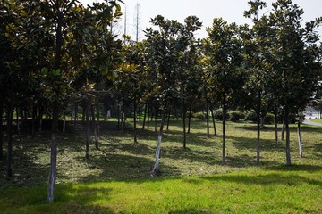 DSC_1969G.jpg