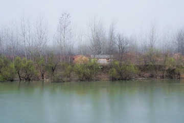 DSC_1991.jpg
