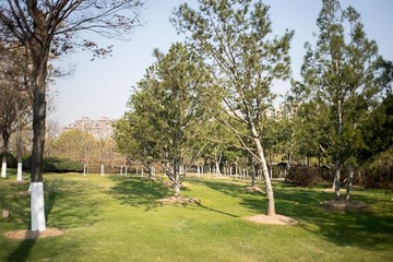 DSC01066-2