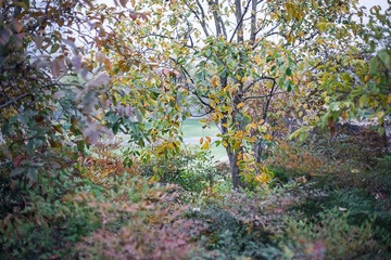 DSC00125-3