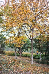 DSC00132-2