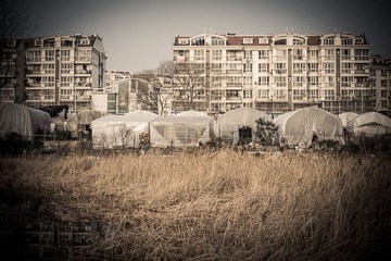 DSC03579-2
