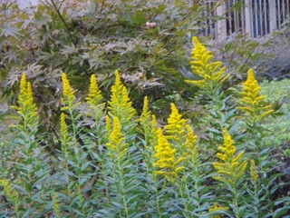 DSC00215.JPG