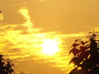 DSC00193.JPG