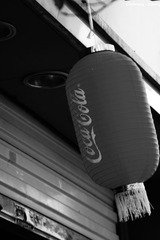DSC02103.jpg