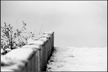 _DSC6352_
