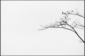 _DSC6434_