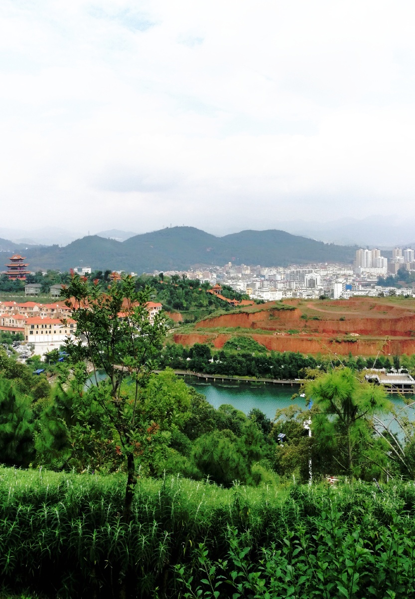 山珍菌乡易门县