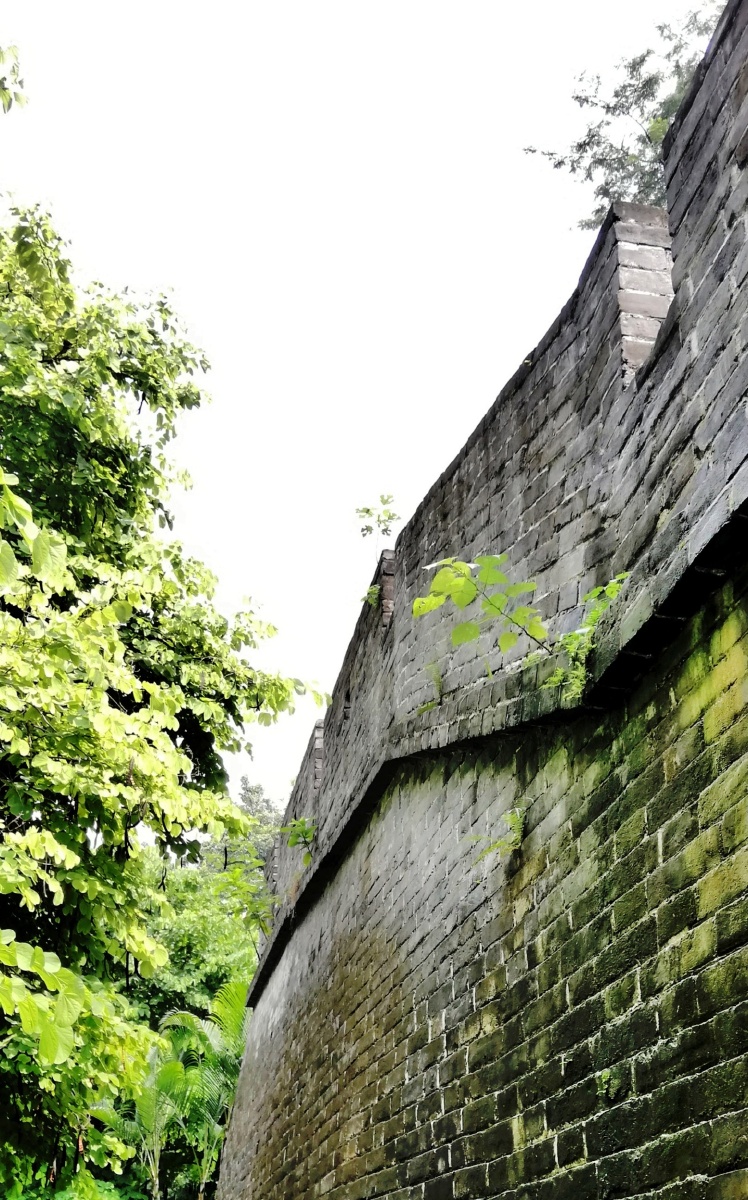 4分钟前 ·阅读11 昆明赵俊昆 关注 广州古城墙始建于明朝洪武十饶觋