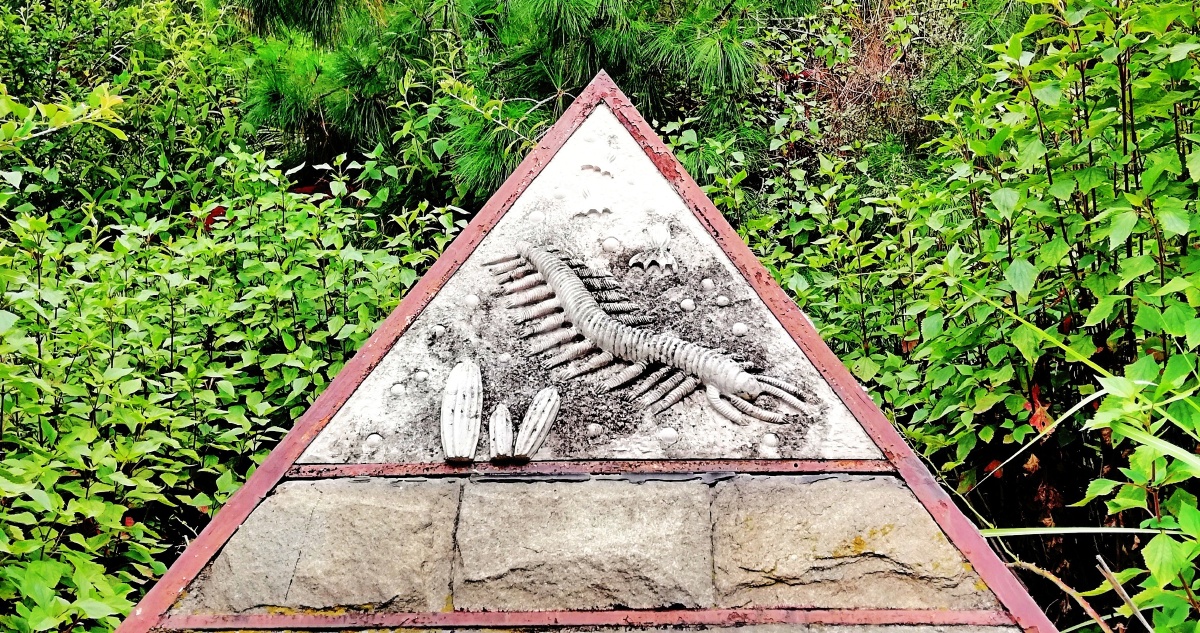 生物群"首发点位于云南澄江帽天山,产出地层为寒武纪早期古生物化石群