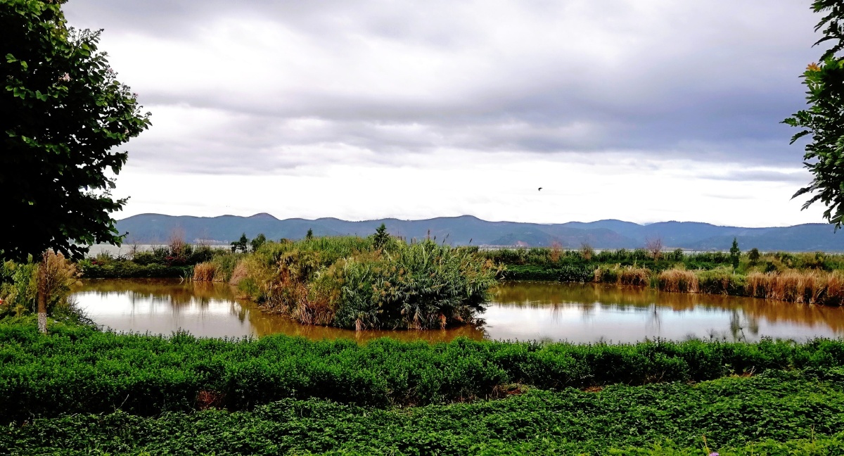 生态湿地异龙湖