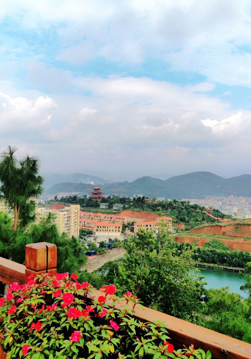 山珍菌乡易门县