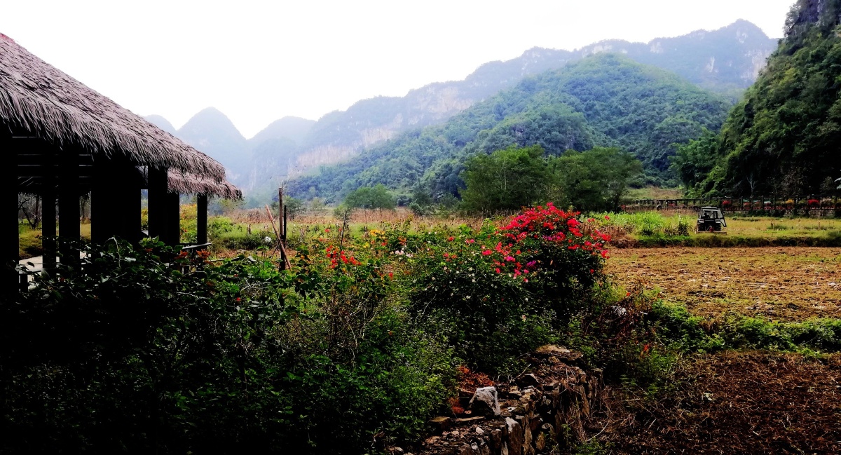 世外田园坝美村