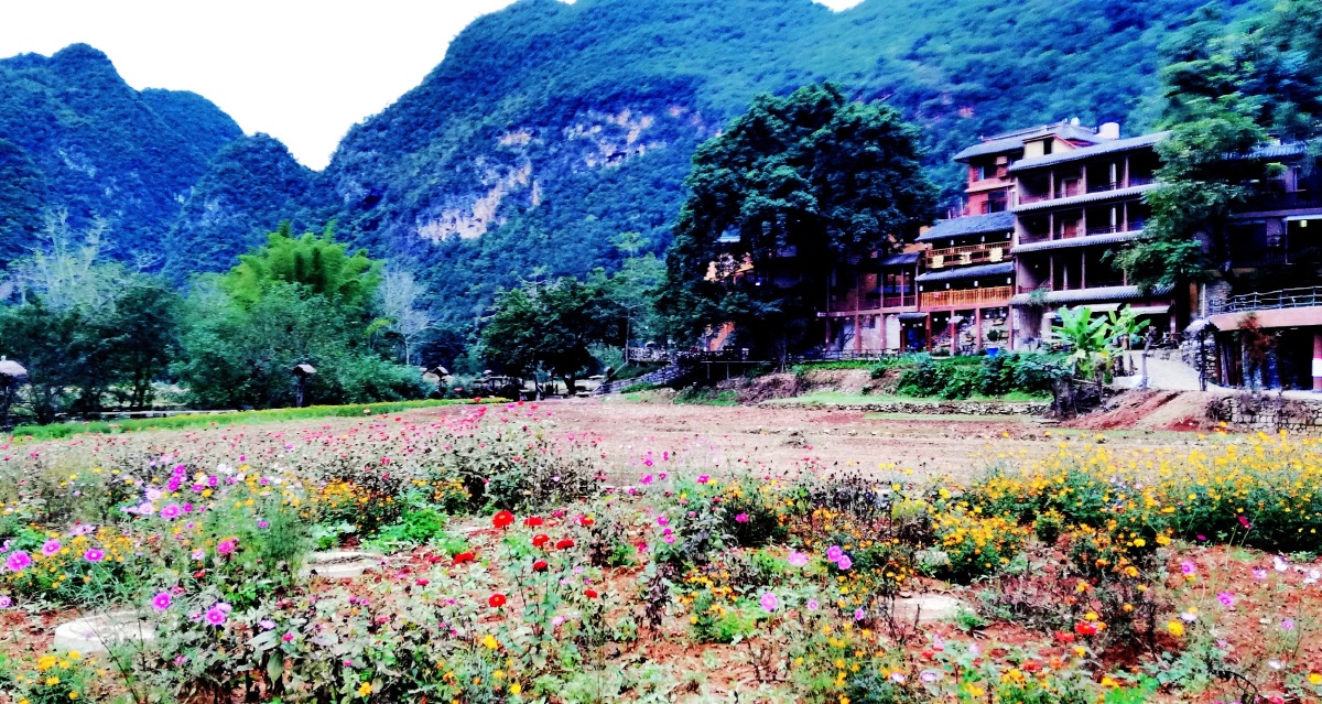 世外田园坝美村