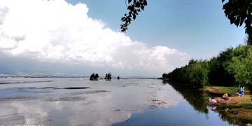 478627