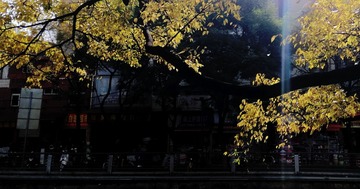 406381