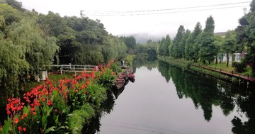 446733