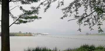 415464