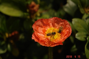 905902