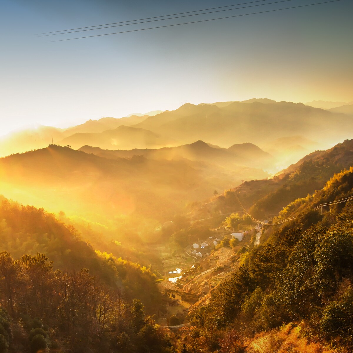 苍南的山沟