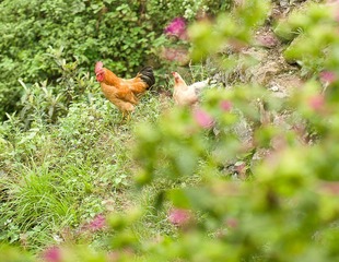 nEO_IMG_LCX_2446-135.jpg