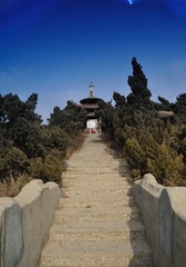路