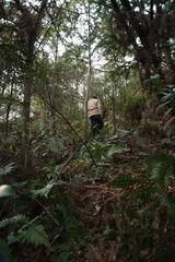野山无路