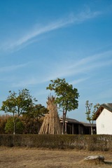 牛柳村