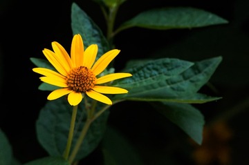 1000016848