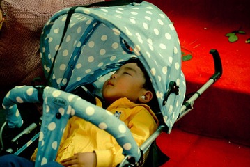 DSCF0181-2.jpg