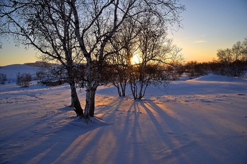 _DSC4882-1.jpg
